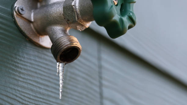 Best Water Heater Repair  in Agler Beach, FL